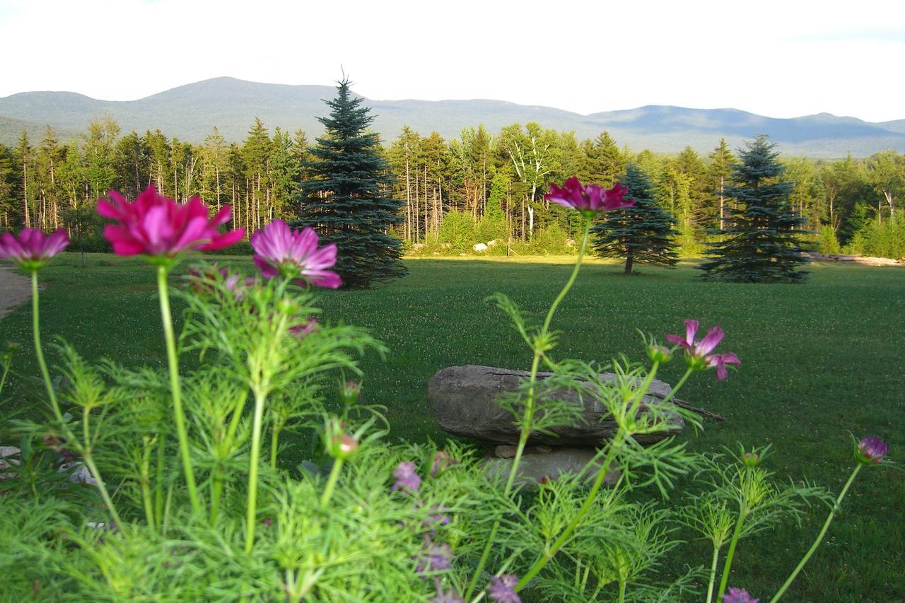 Robert Frost Mountain Cabins Middlebury Eksteriør bilde
