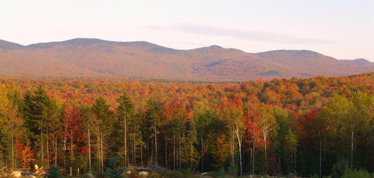 Robert Frost Mountain Cabins Middlebury Eksteriør bilde
